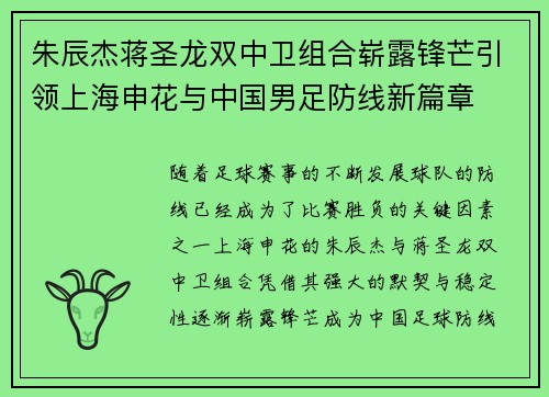朱辰杰蒋圣龙双中卫组合崭露锋芒引领上海申花与中国男足防线新篇章